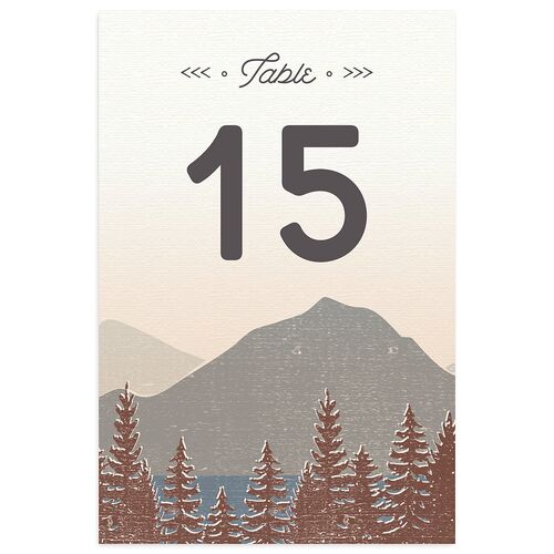 Vintage Mountain Table Numbers Espresso Signature
