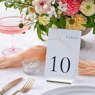 Minimal Rings Table Numbers Gold Navy Signature