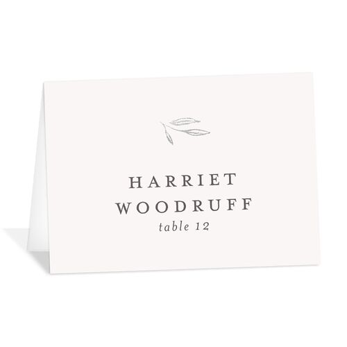 Shining Sprig Place Cards Silver Mist Signature