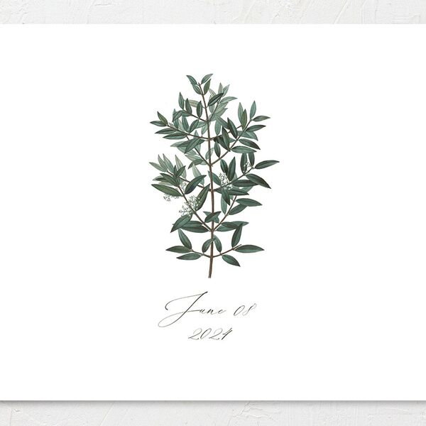 Ornate Leaves Change the Date Cards Pure White Signature