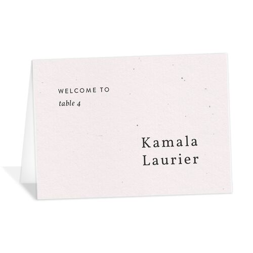Modern Lens Place Cards