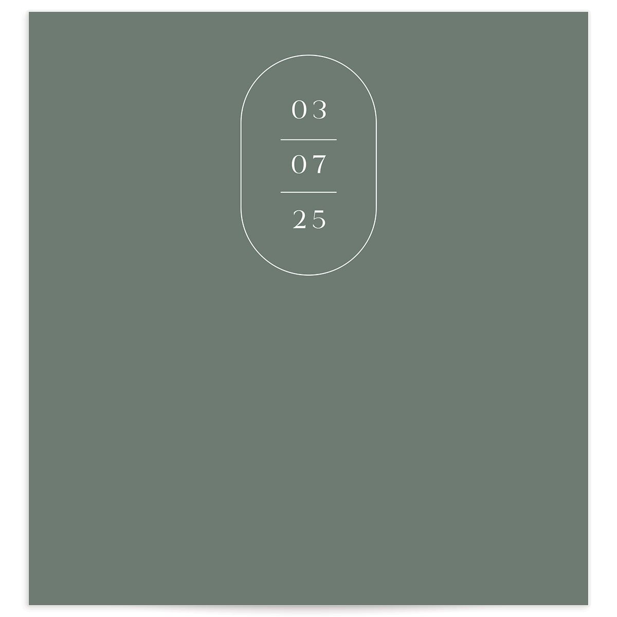 Western Cactus Standard Envelope Liners