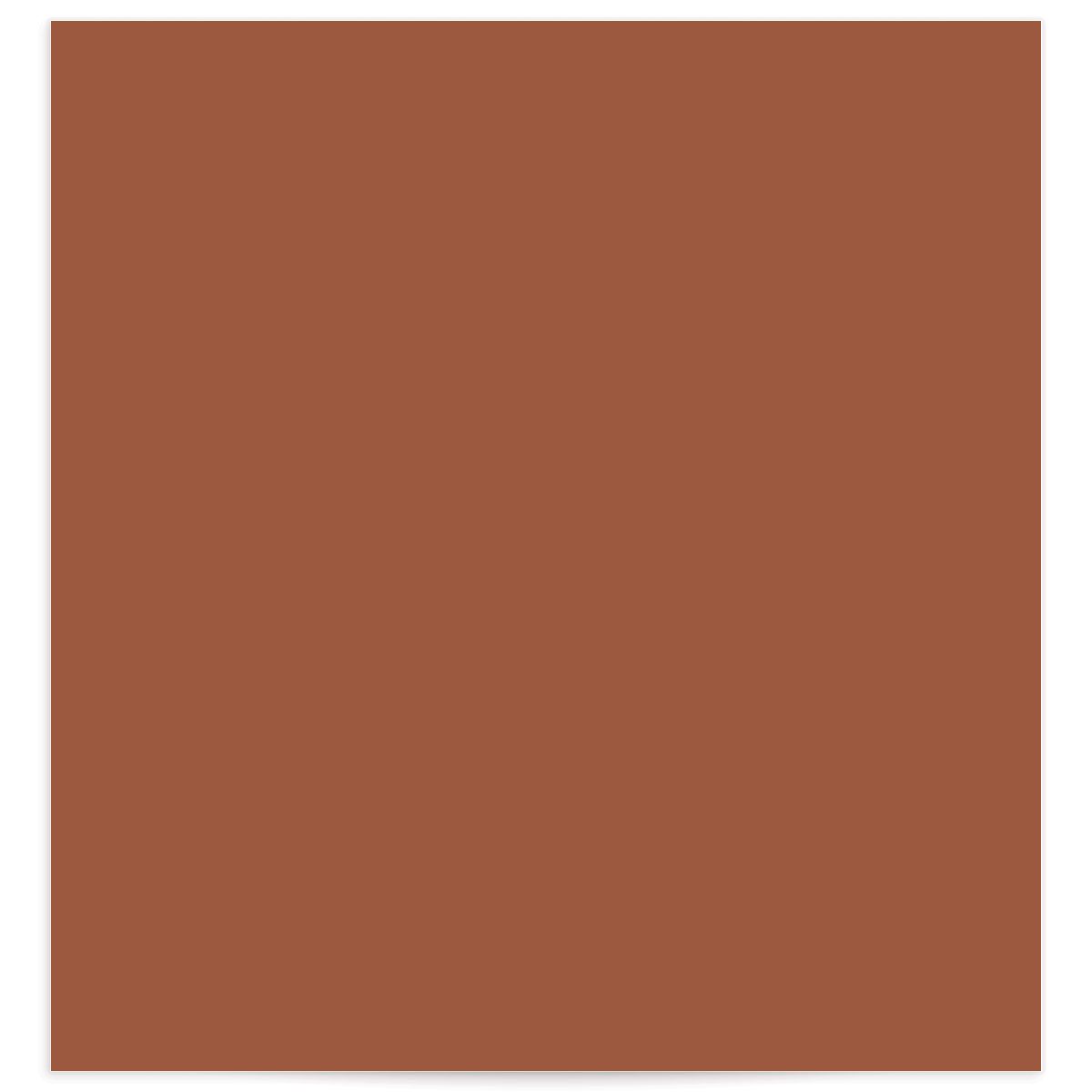Rustic Branches Standard Envelope Liners front in red