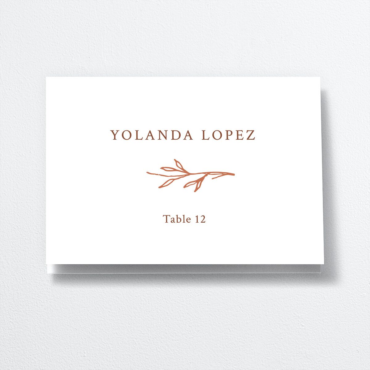 Rustic Branches Place Cards Terracotta Signature