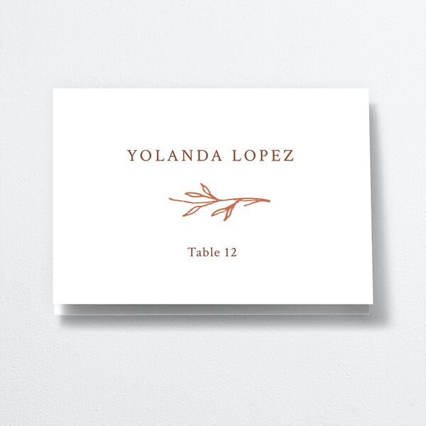 Rustic Branches Place Cards Terracotta Signature
