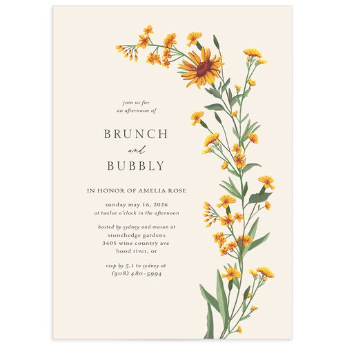 Wild Daisies Bridal Shower Invitations