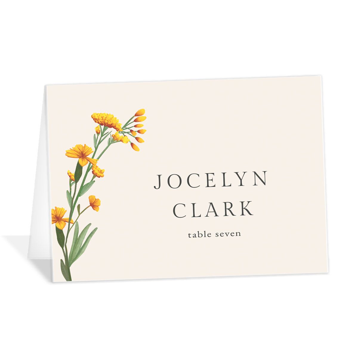 Wild Daisies Place Cards