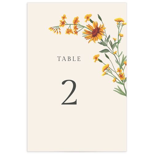 Wild Daisies Table Numbers