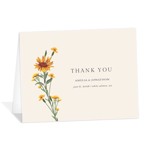 Wild Daisies Thank You Cards