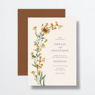 Wild Daisies Wedding Invitations Buttercup Signature No Standard
