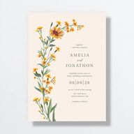 Wild Daisies Wedding Invitations Buttercup Signature No Standard