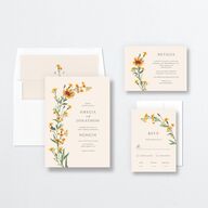 Wild Daisies Wedding Invitations Buttercup Signature No Standard