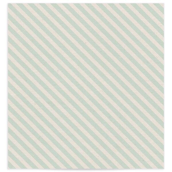 Retro Boarding Pass Standard Envelope Liners Standard Mint Green