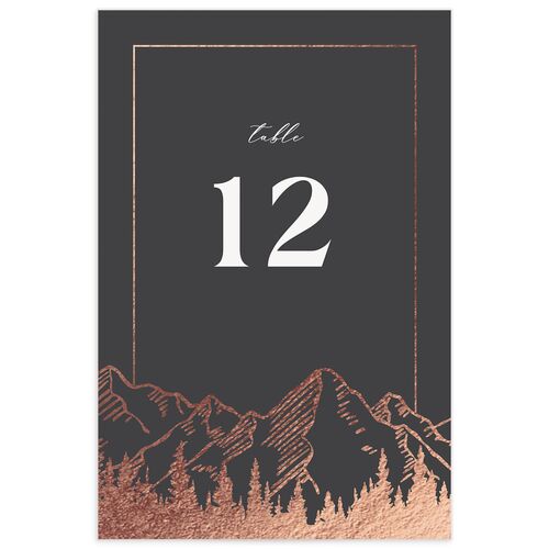 Mountain Escape Table Numbers - 