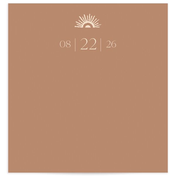 Rattan Sunshine Envelope Liners Standard Barely Peach