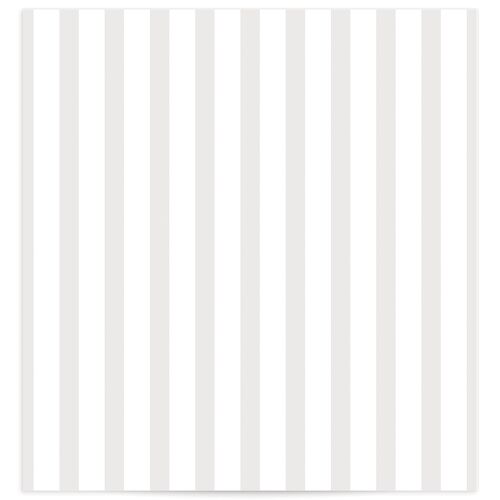 Bar Accent Standard Envelope Liners Standard Pure White
