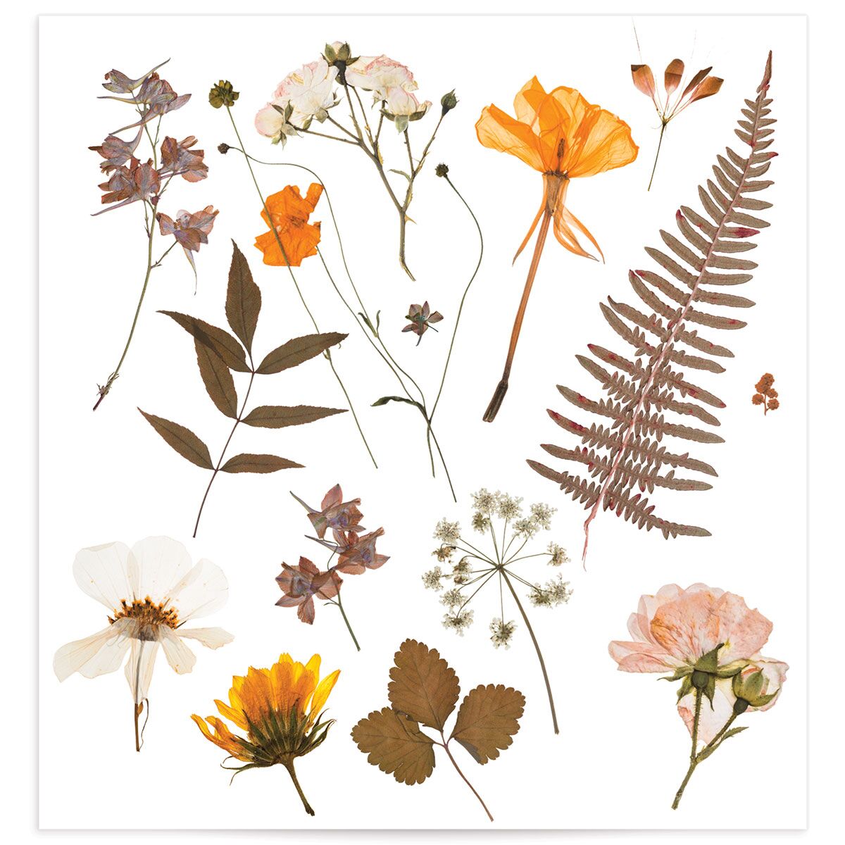 Pressed Flowers Standard Envelope Liners
