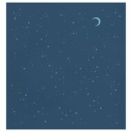 Celestial Arch Envelope Liners Standard Navy