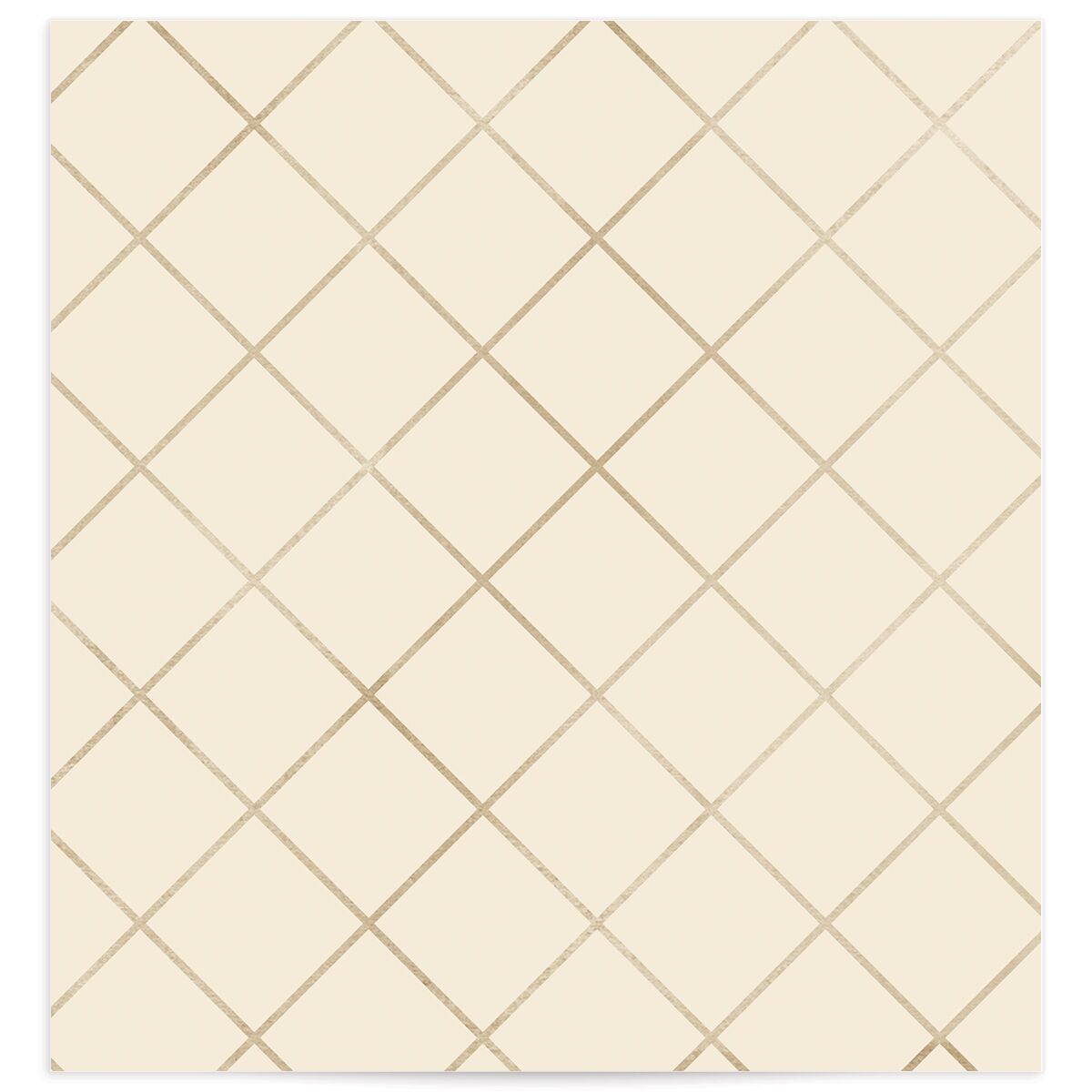 Southern Spanish Moss Standard Envelope Liners