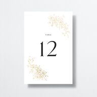 Delicacy Table Numbers by Vera Wang Gold Pure White Signature
