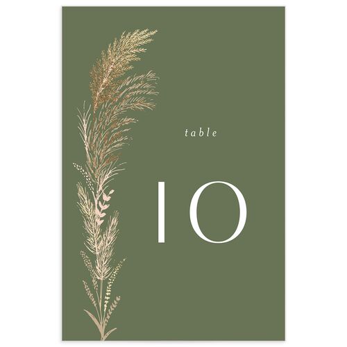 Regal Pampas Table Numbers Gold Deep Olive Signature