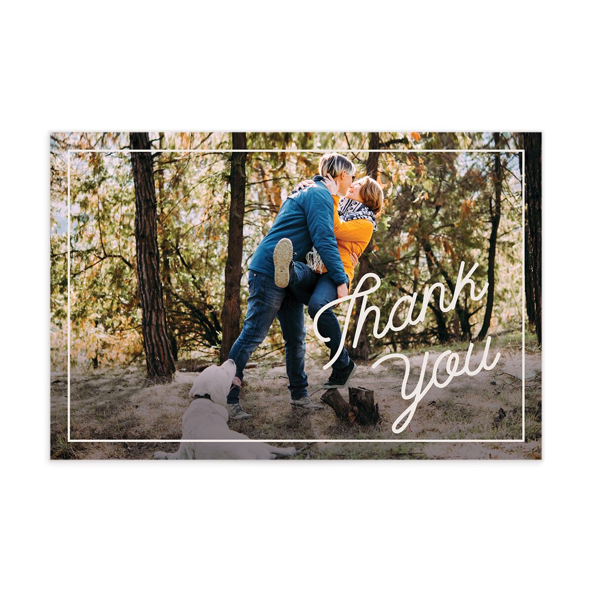 Happy Campers Thank You Postcards