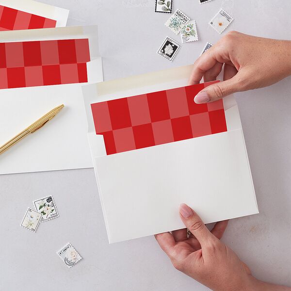 Bold Year Photo Series Envelope Liners Candy Pink Standard