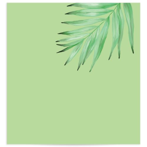 Electric Palm Standard Envelope Liners Scottish Green Standard