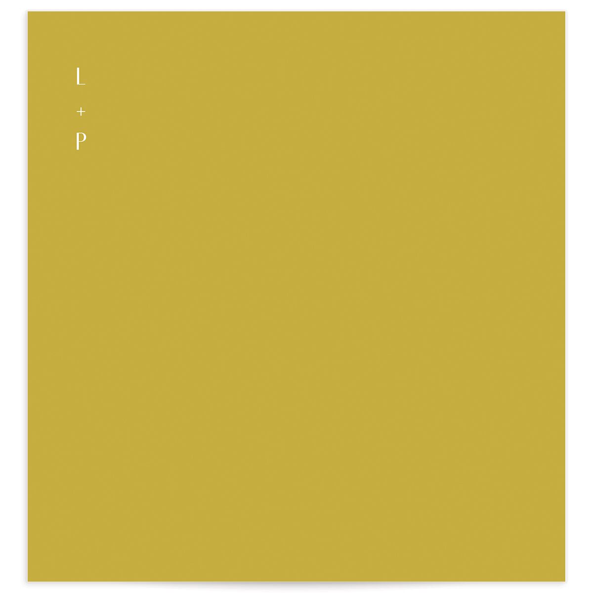 Vibrant Rio Standard Envelope Liners