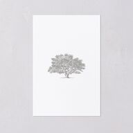 Southern Oak Tree Foil Table Numbers Gold Pure White Signature