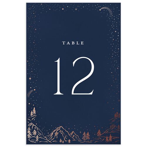 Mountain Sky Table Numbers Rose Gold Navy Signature