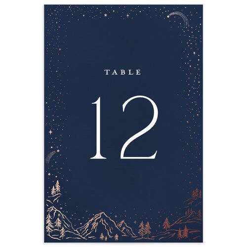 Mountain Sky Table Numbers - 