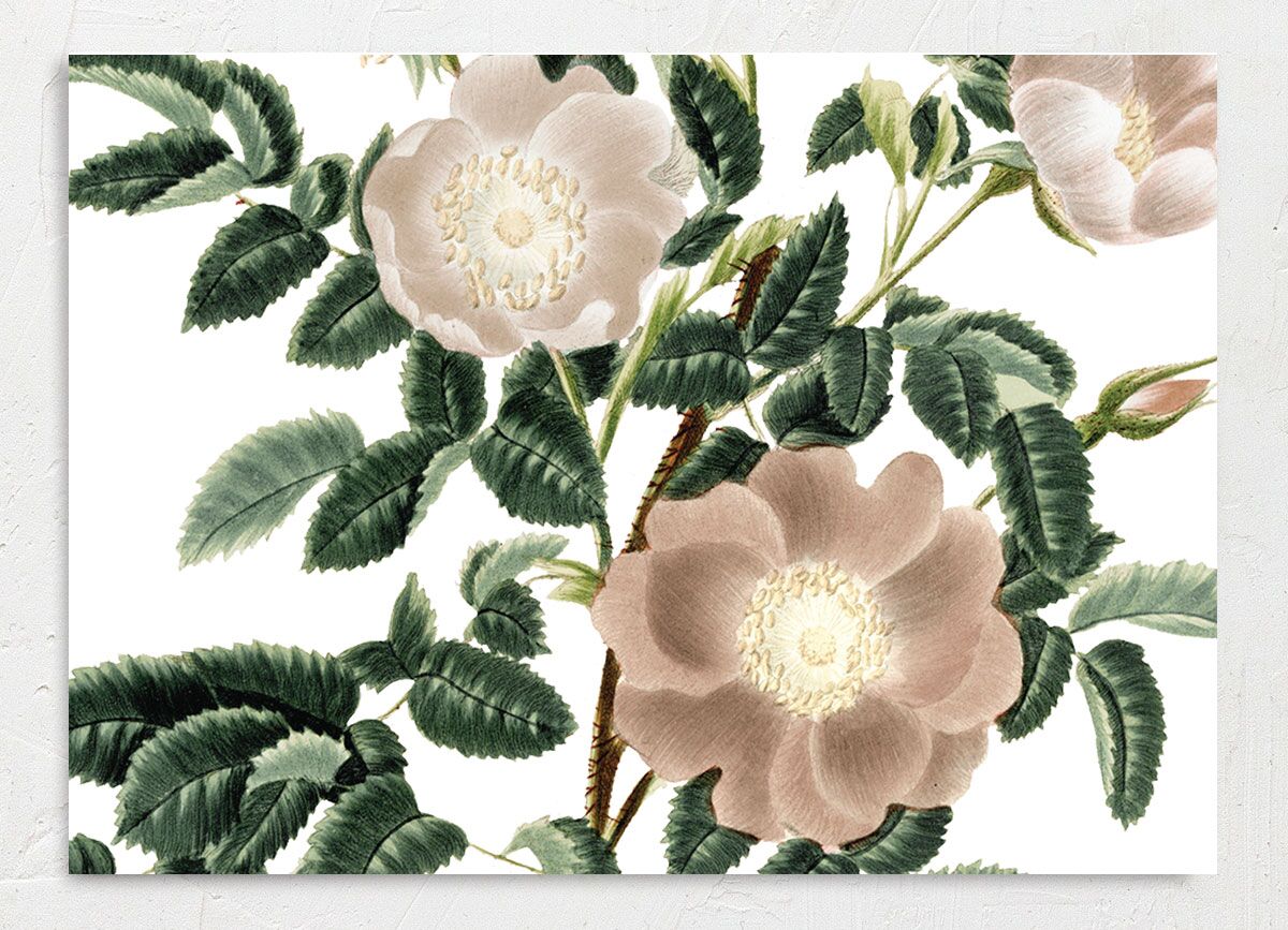 Elegant Bohemian Save The Date Cards Hunter Green Signature smooth No