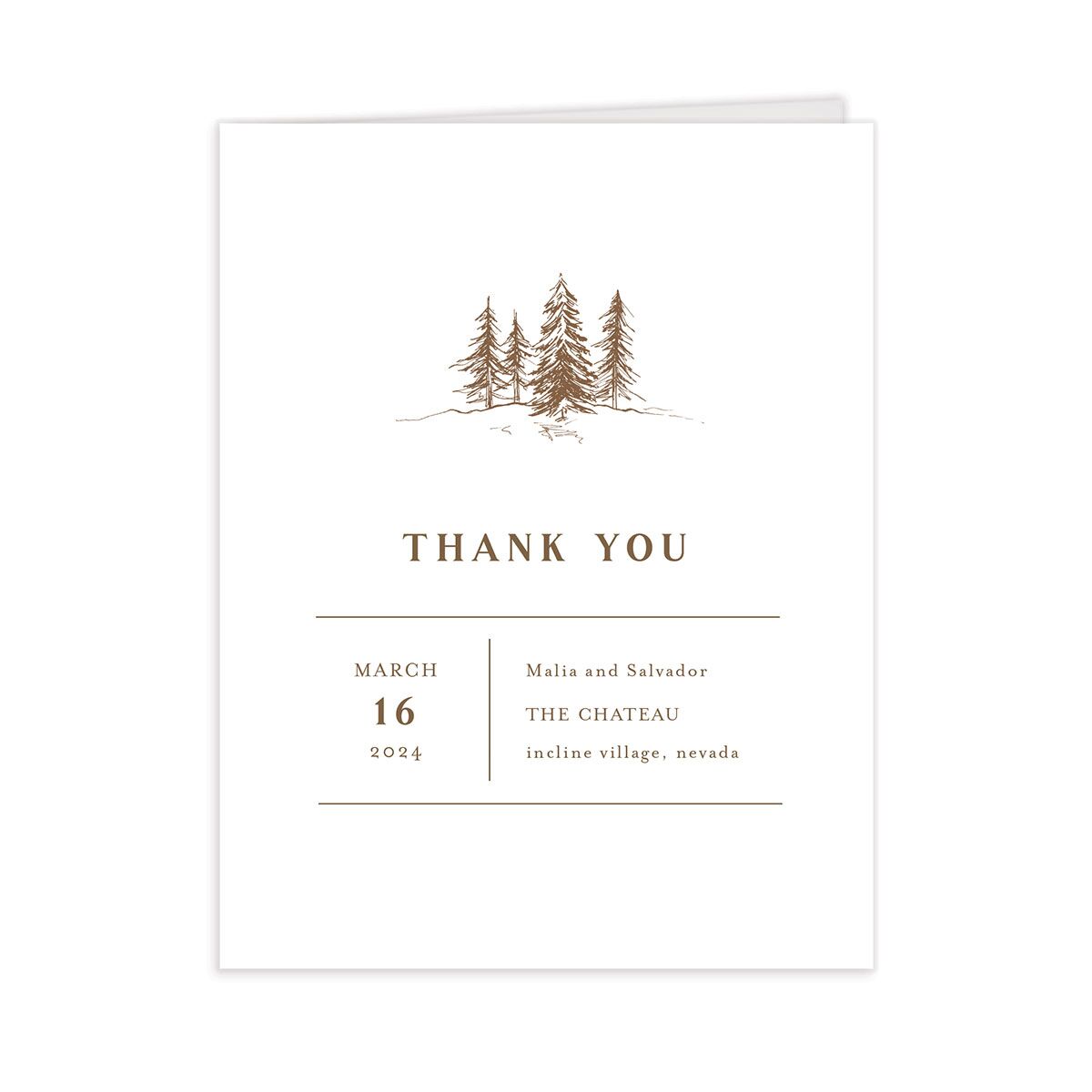 Etched Mountains Thank You Cards