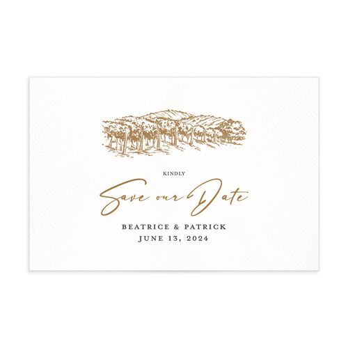 Romantic Setting Save The Date Postcards - 