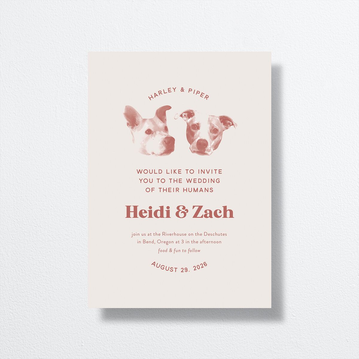 Custom Pet Portrait Wedding Invitations Desert Rose Signature