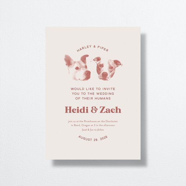Custom Pet Portrait Wedding Invitations Desert Rose Signature