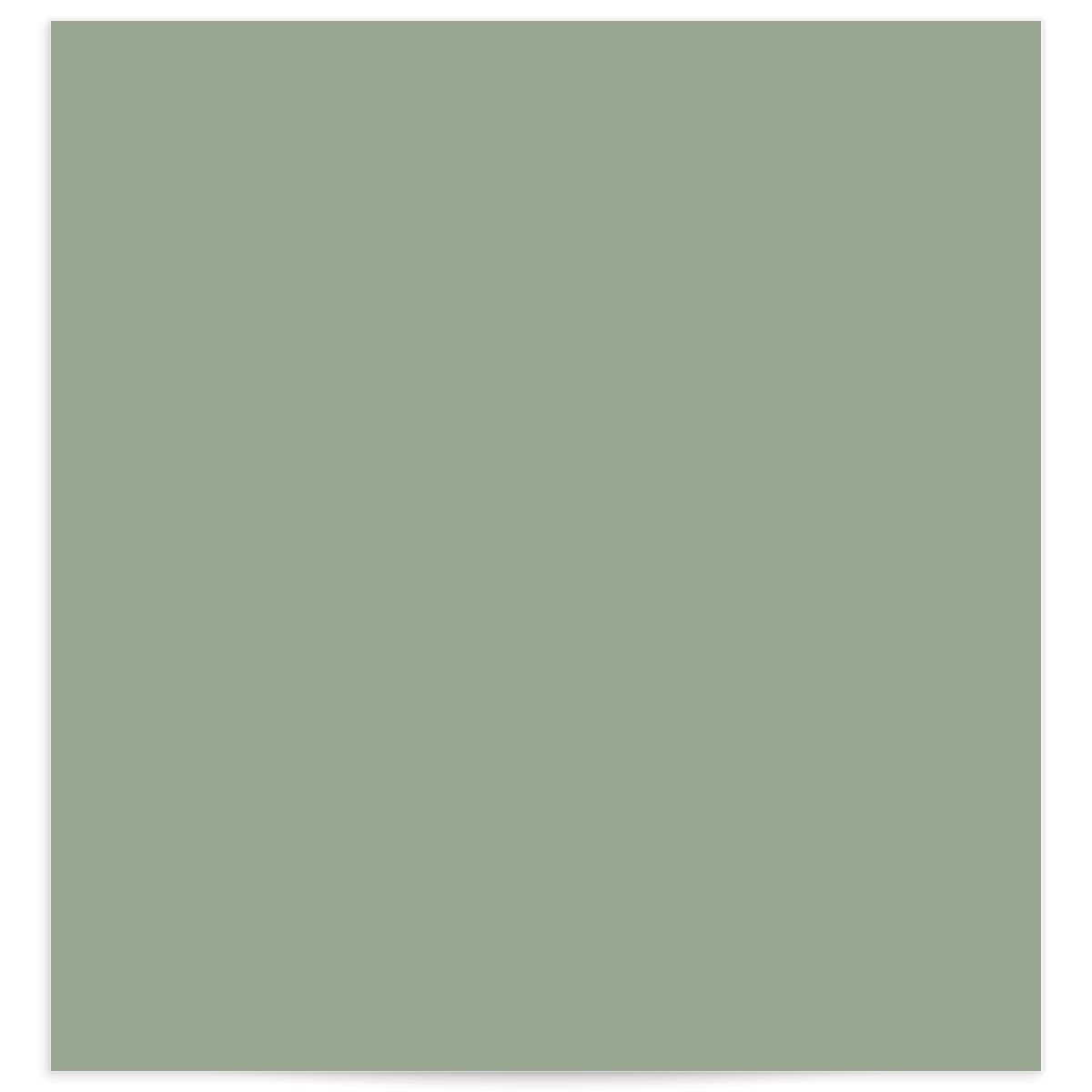 Vines Standard Envelope Liners