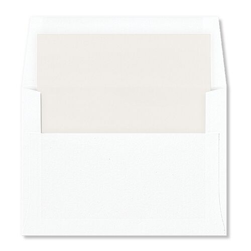 Gilded Sprigs Standard Envelope Liners Charcoal Standard