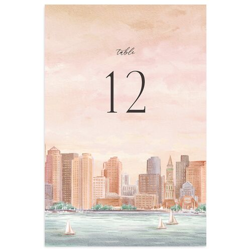 Boston Skyline Table Numbers Espresso Signature