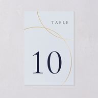 Minimal Rings Table Numbers Gold Navy Signature