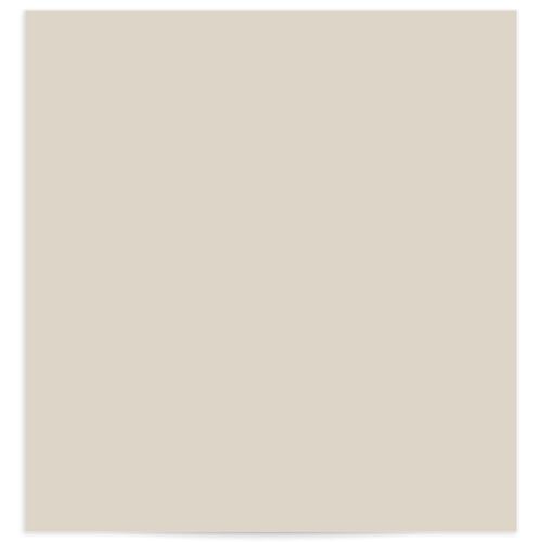 Sidebar Standard Envelope Liners Standard Licorice