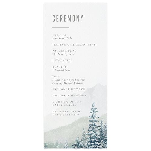 Painted Mountains Wedding Program  Zinc Signature