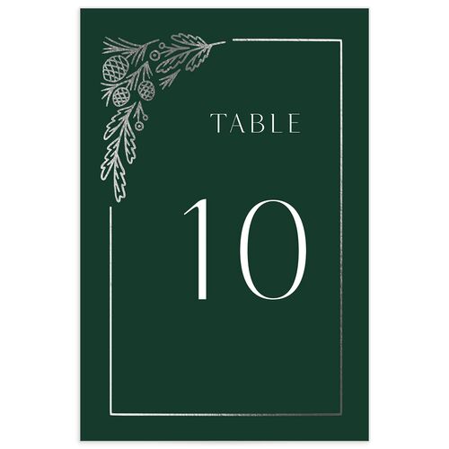 Winter Frame Table Numbers Silver Dark Green Signature