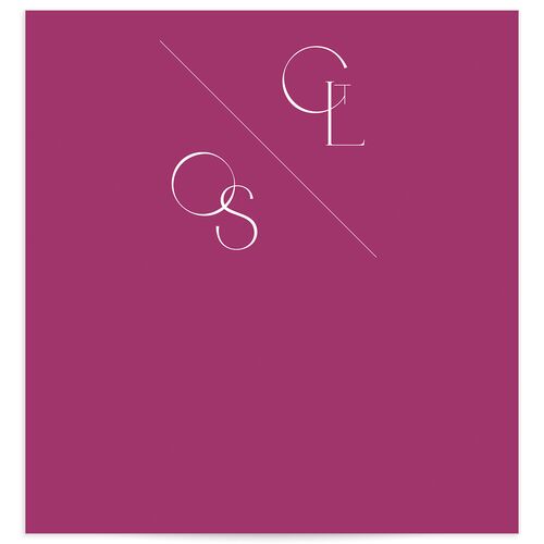 Forever Thing Envelope Liners Standard Raspberry