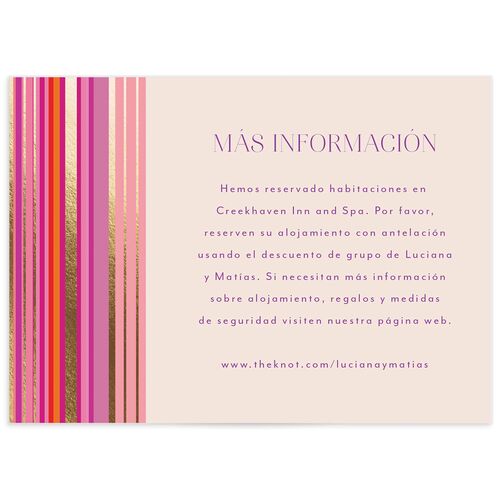 Serape de Sol Wedding Enclosure Cards - 