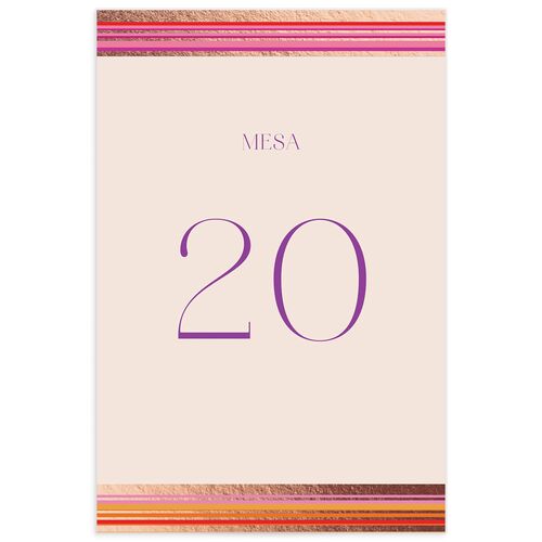 Serape de Sol Table Numbers Rose Gold Peach Pink Signature