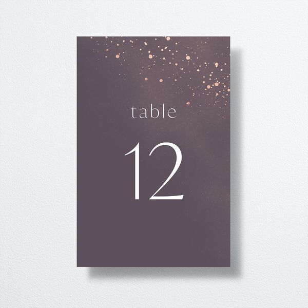 Shimmer Dust Table Numbers front