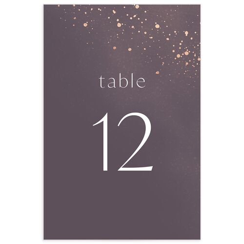 Shimmer Dust Table Numbers - 