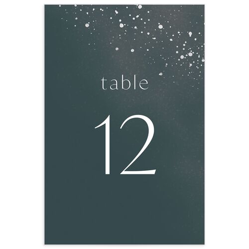 Shimmer Dust Table Numbers Silver Dark Emerald Signature